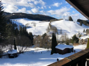 Apartment Fam. Zappe Steinhaus Am Semmering